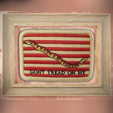First Navy Jack Don't Tread on Me Flag - Naval History