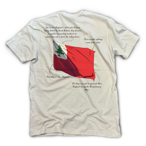 New England Flag Fact Shirt, S/S, Ice Grey