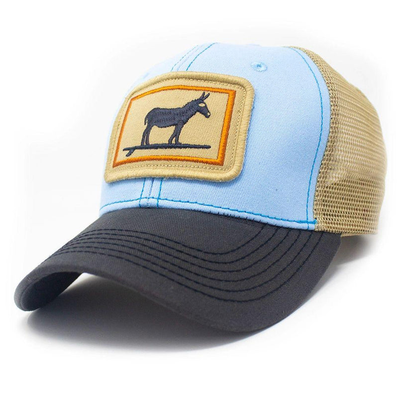 Surfing Jackass Structured Trucker Hat Sky Blue and Charcoal SL